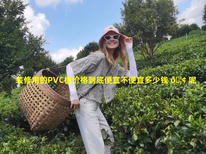 装修用的PVC板价格到底便宜不便宜多少钱 🦢 呢